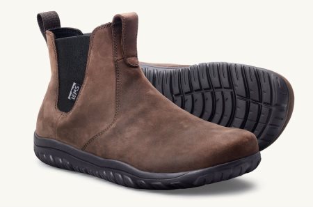 Lems Botas Chelsea Impermeables Hombre Espresso Argentina | 8690-LZSMK